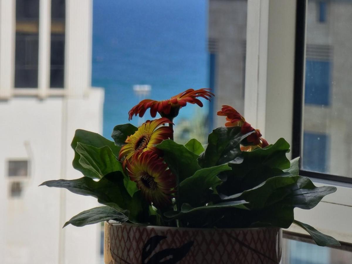 Delicate Serviced Apartment And Hotel Da Nang Buitenkant foto
